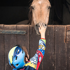 Therapeutic horse care