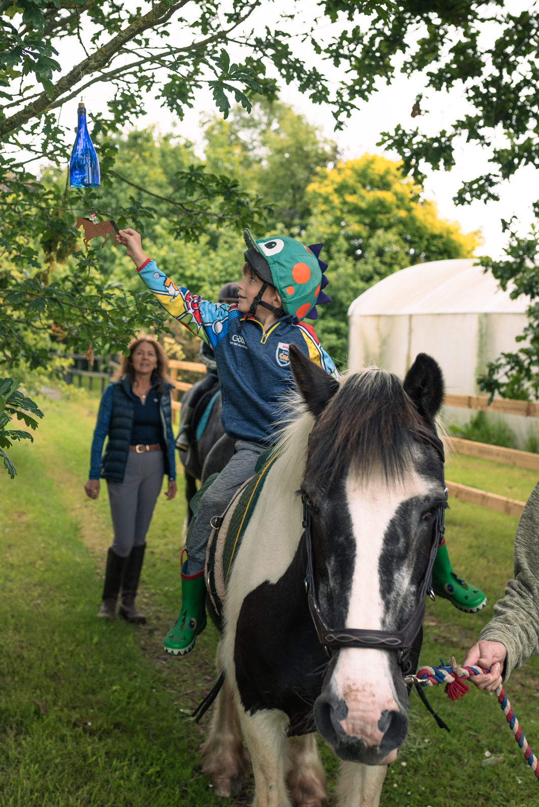 Finisk Valley Therapeutic Riding